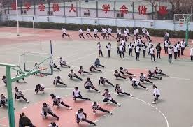 多哈冠军赛女单签表出炉 国乒抽到好签 王曼昱首轮迎战大藤沙月